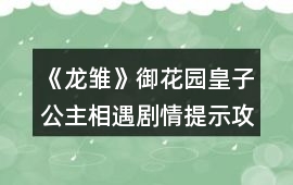 《龍雛》御花園皇子公主相遇劇情提示攻略