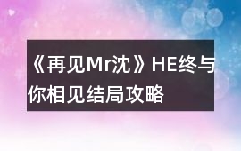 《再見(jiàn)Mr沈》HE終與你相見(jiàn)結(jié)局攻略