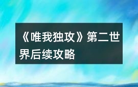 《唯我獨攻》第二世界后續攻略