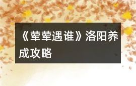 《葷葷遇誰》洛陽養成攻略