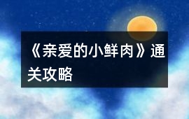 《親愛的小鮮肉》通關攻略