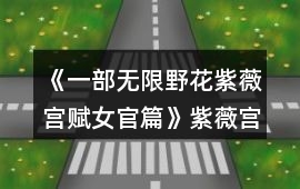 《一部無限野花紫薇宮賦女官篇》紫薇宮探索攻略