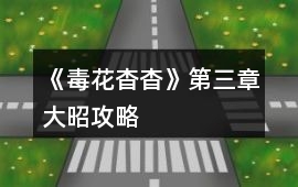 《毒花杳杳》第三章大昭攻略