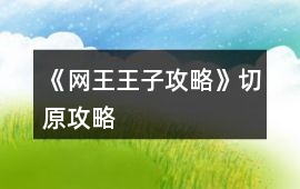 《網(wǎng)王王子攻略》切原攻略