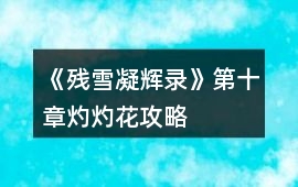 《殘雪凝輝錄》第十章灼灼花攻略