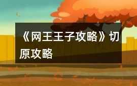 《網王王子攻略》切原攻略