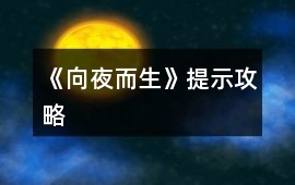 《向夜而生》提示攻略