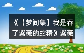 《【夢間集】我是吞了紫薇的蛇精》紫薇線攻略