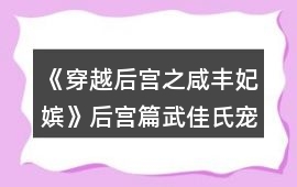《穿越后宮之咸豐妃嬪》后宮篇武佳氏寵妾攻略