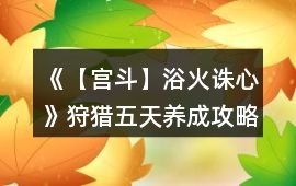 《【宮斗】浴火誅心》狩獵五天養成攻略
