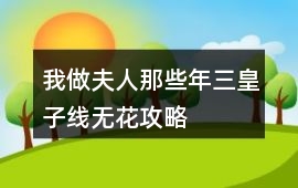 我做夫人那些年三皇子線無花攻略