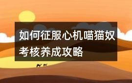 如何征服心機(jī)喵貓奴考核養(yǎng)成攻略