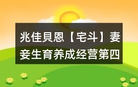 兆佳貝恩【宅斗】妻妾生育養(yǎng)成經(jīng)營第四年快速通關(guān)攻略