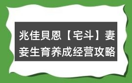 兆佳貝恩【宅斗】妻妾生育養成經營攻略