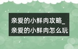 親愛的小鮮肉攻略_親愛的小鮮肉怎么玩