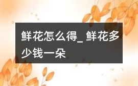 鮮花怎么得_ 鮮花多少錢一朵