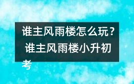 誰主風雨樓怎么玩？ 誰主風雨樓小升初考試攻略