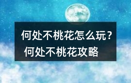 何處不桃花怎么玩？ 何處不桃花攻略