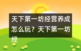天下第一坊經營養成怎么玩？天下第一坊經營養成攻略