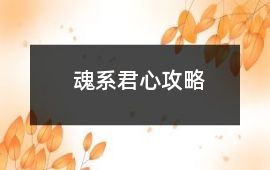 魂系君心攻略