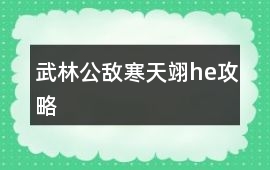 武林公敵寒天翊he攻略