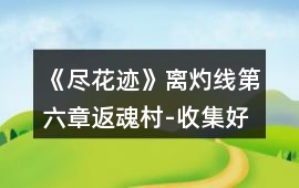 《盡花跡》離灼線第六章返魂村-收集好感(含成就)