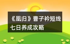 《凰歸》曹子衿短線七日養成攻略