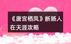 《唐宮棲鳳》斷腸人在天涯攻略