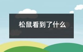 松鼠看到了什么