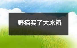 野貓買了大冰箱