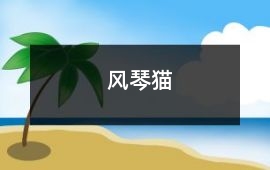 風琴貓