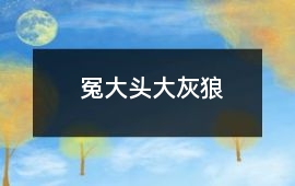 冤大頭大灰狼