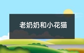 老奶奶和小花貓