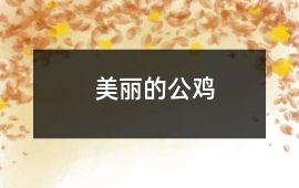 美麗的公雞