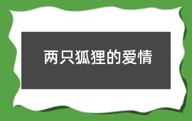 兩只狐貍的愛情