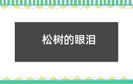 松樹的眼淚