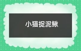 小貓捉泥鰍