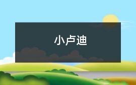 小盧迪