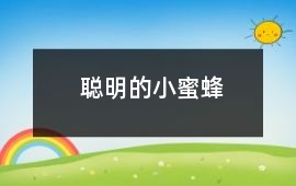 聰明的小蜜蜂