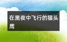 在黑夜中飛行的貓頭鷹