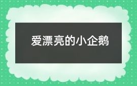 愛漂亮的小企鵝