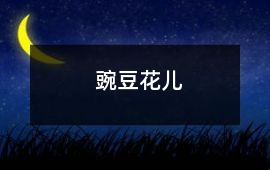豌豆花兒