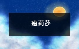 瘦莉莎