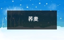 蕎麥