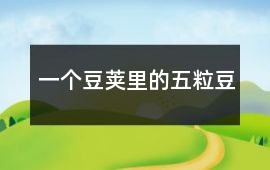 一個豆莢里的五粒豆