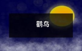 鸛鳥(niǎo)