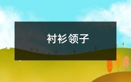 襯衫領(lǐng)子