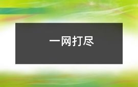 一網(wǎng)打盡