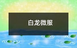 白龍微服