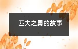匹夫之勇的故事